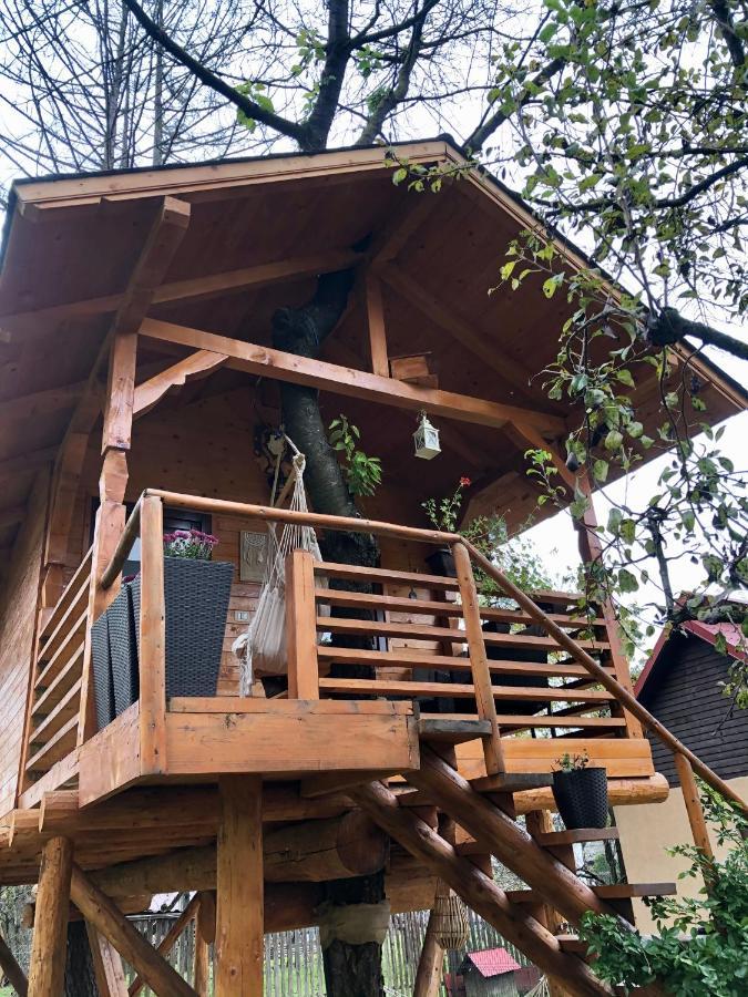Villa Domeniul Horj Casa Din Cires Moisei Exterior foto