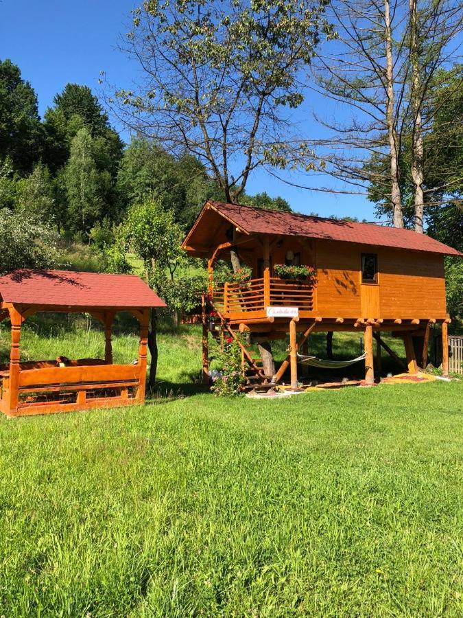 Villa Domeniul Horj Casa Din Cires Moisei Exterior foto