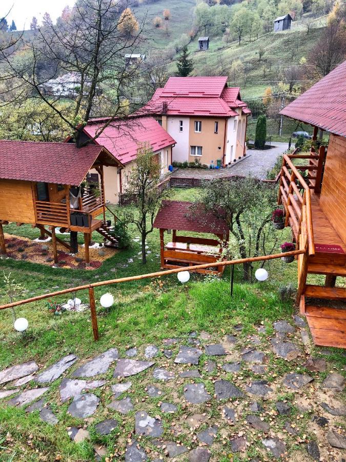 Villa Domeniul Horj Casa Din Cires Moisei Exterior foto